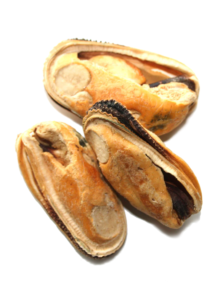 The NZ Natural Pet Food Co. | Woof | Freeze Dried New Zealand Green Mussel | Dog Treat